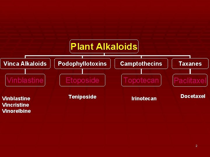 Plant Alkaloids Vinca Alkaloids Podophyllotoxins Camptothecins Taxanes Vinblastine Etoposide Topotecan Paclitaxel Vinblastine Vincristine Vinorelbine