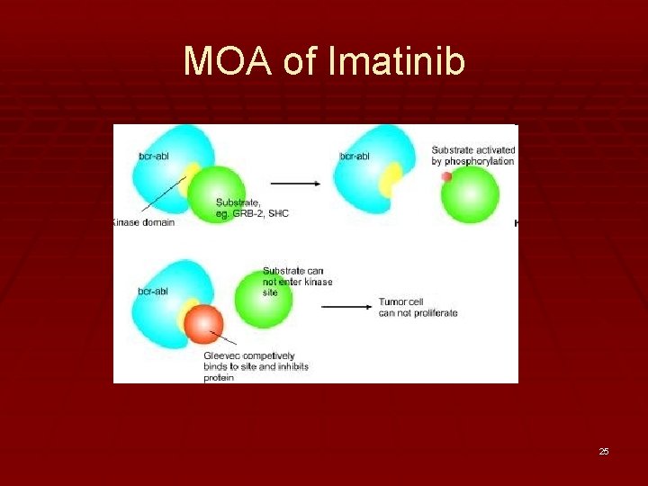 MOA of Imatinib 25 