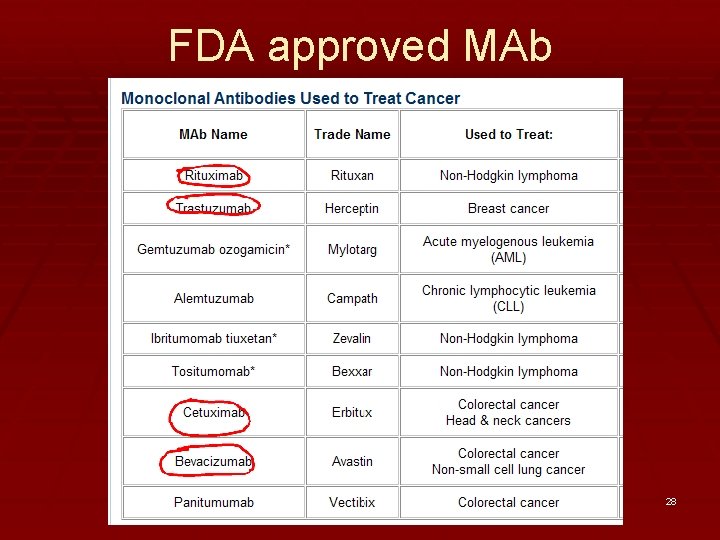 FDA approved MAb 28 