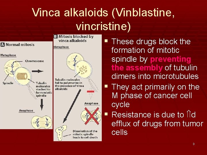 Vinca alkaloids (Vinblastine, vincristine) § These drugs block the formation of mitotic spindle by