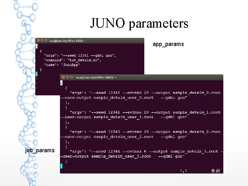JUNO parameters app_params job_params 