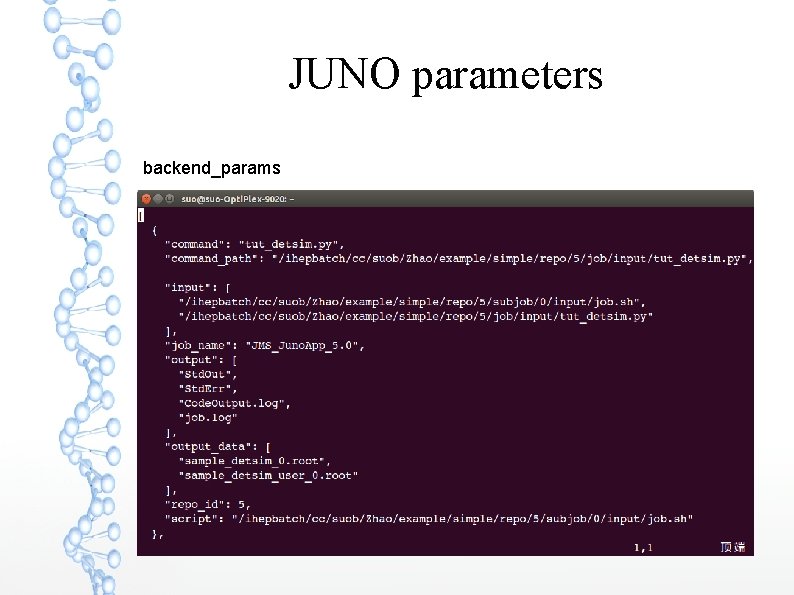 JUNO parameters backend_params 