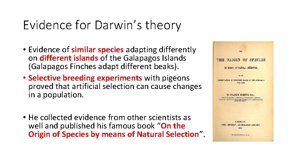 Evidence for Darwin’s theory • Evidence of similar species adapting differently on different islands