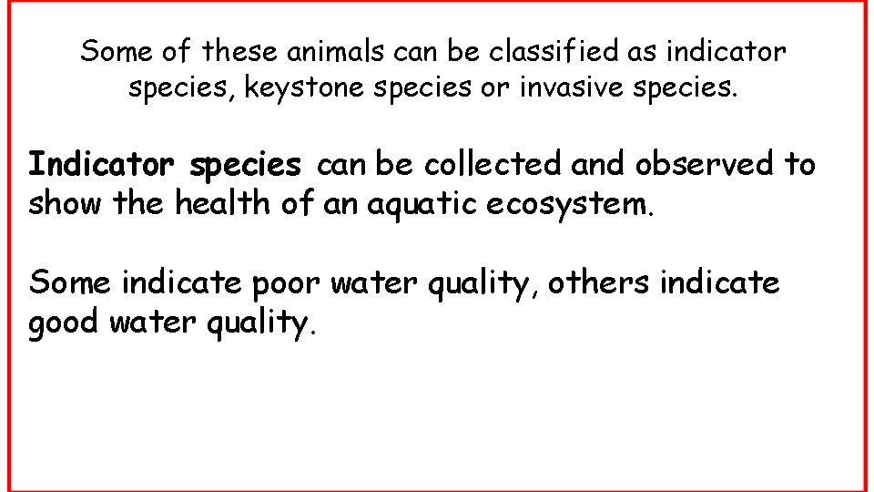 Some of these animals can be classified as indicator species, keystone species or invasive