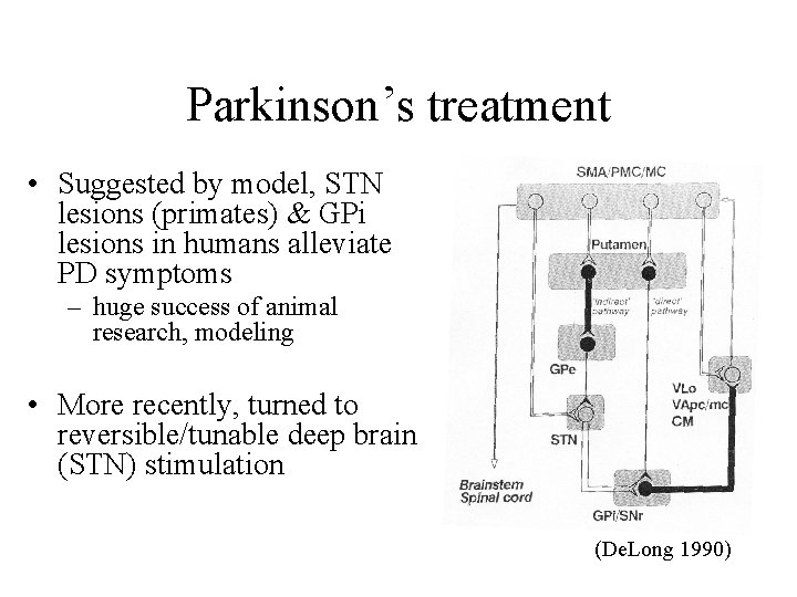 Parkinson’s treatment • Suggested by model, STN lesions (primates) & GPi lesions in humans