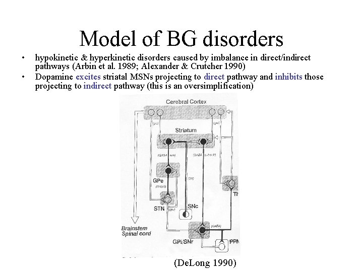 Model of BG disorders • • hypokinetic & hyperkinetic disorders caused by imbalance in