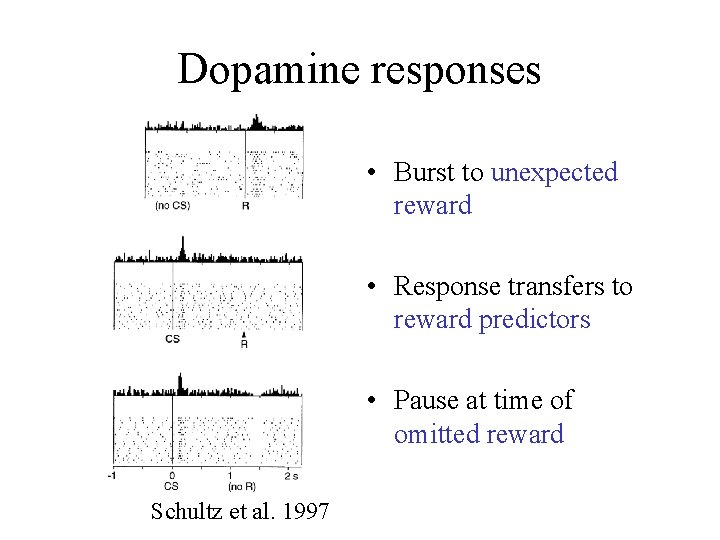 Dopamine responses • Burst to unexpected reward • Response transfers to reward predictors •