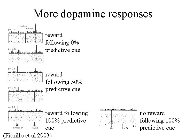 More dopamine responses reward following 0% predictive cue reward following 50% predictive cue reward