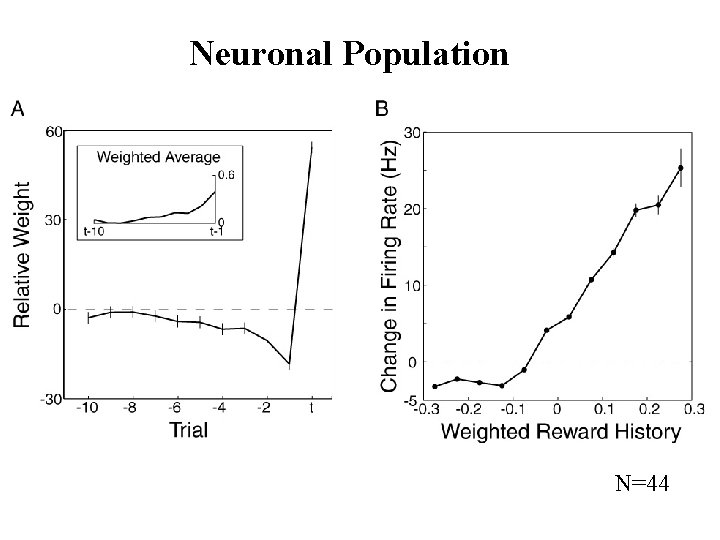 Neuronal Population N=44 