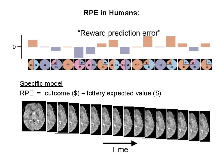 RPE in Humans: Specific model RPE = outcome ($) – lottery expected value ($)