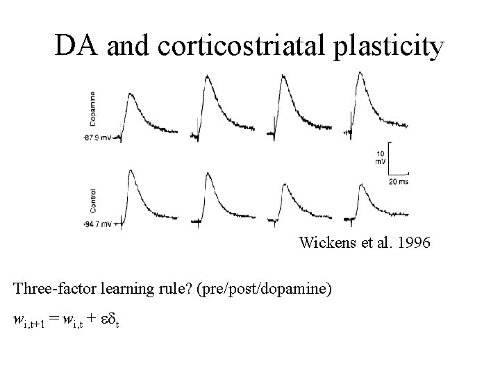 DA and corticostriatal plasticity Wickens et al. 1996 Three-factor learning rule? (pre/post/dopamine) wi, t+1