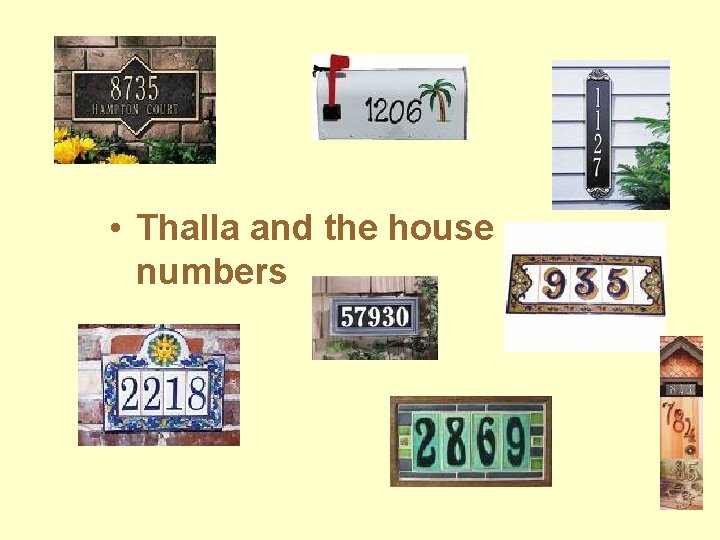  • Thalla and the house numbers 