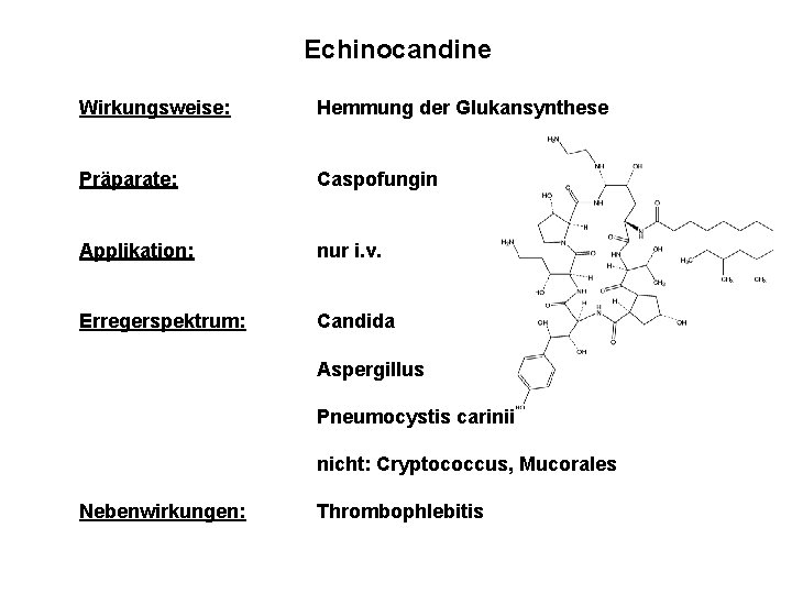 Echinocandine Wirkungsweise: Hemmung der Glukansynthese Präparate: Caspofungin Applikation: nur i. v. Erregerspektrum: Candida Aspergillus