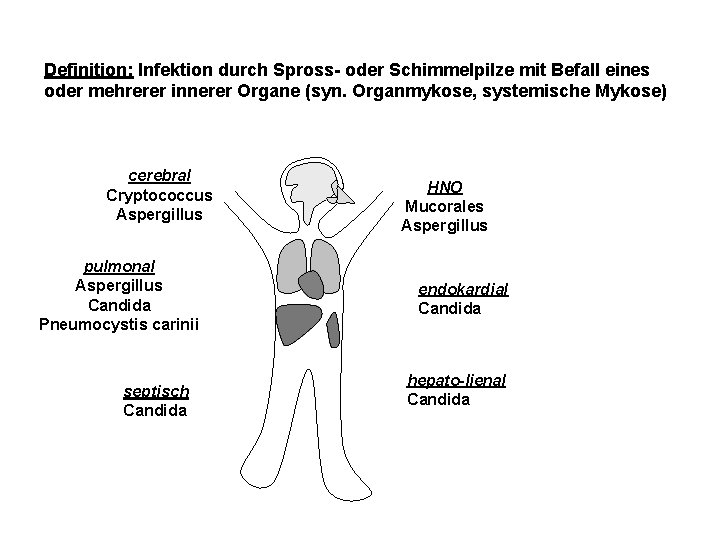 Definition: Infektion durch Spross- oder Schimmelpilze mit Befall eines oder mehrerer innerer Organe (syn.