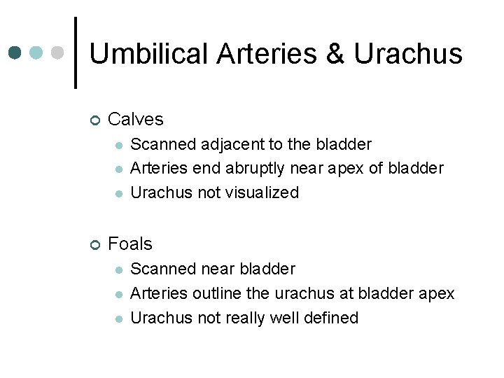 Umbilical Arteries & Urachus ¢ Calves l l l ¢ Scanned adjacent to the