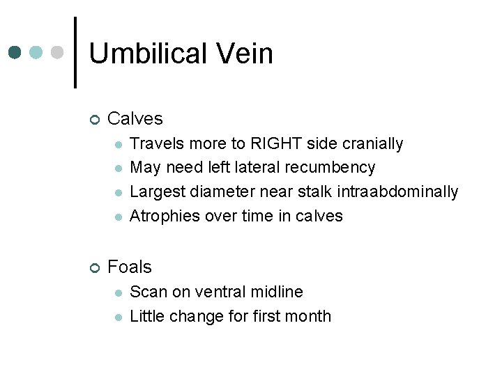 Umbilical Vein ¢ Calves l l ¢ Travels more to RIGHT side cranially May