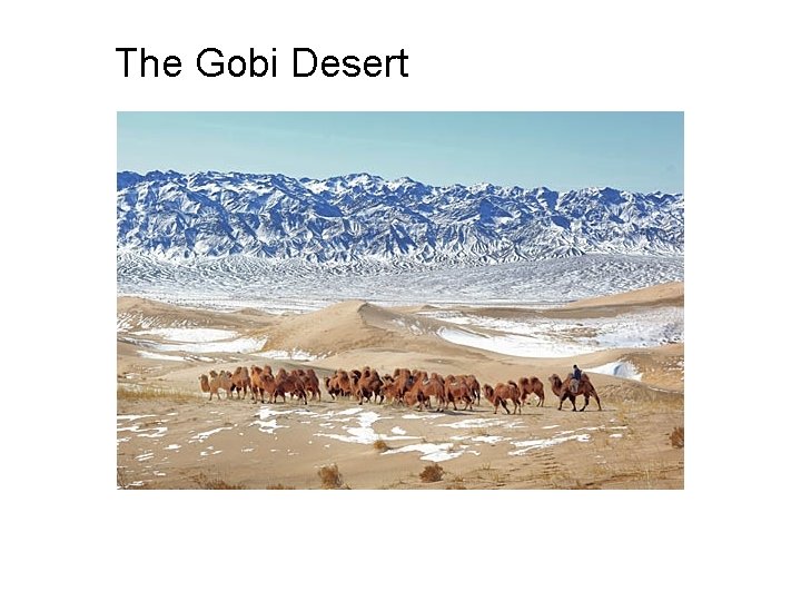 The Gobi Desert 