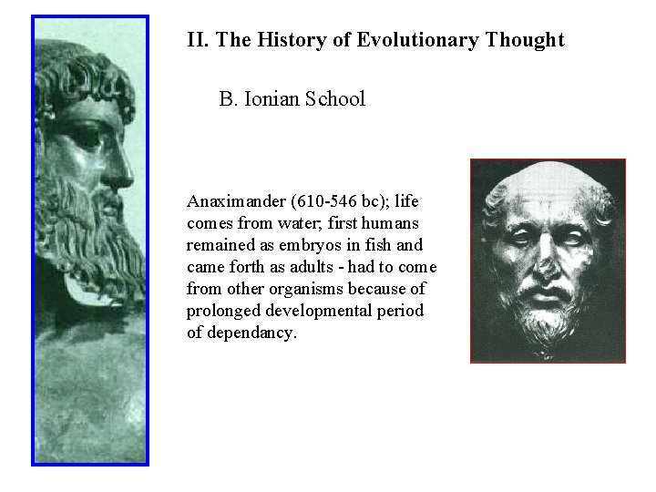 II. The History of Evolutionary Thought B. Ionian School Anaximander (610 -546 bc); life