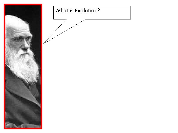 What is Evolution? 