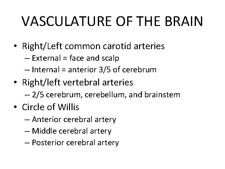 VASCULATURE OF THE BRAIN • Right/Left common carotid arteries – External = face and