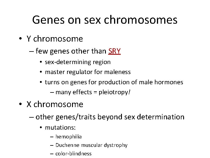 Genes on sex chromosomes • Y chromosome – few genes other than SRY •