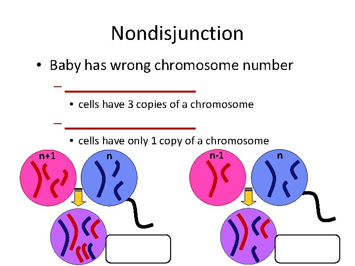 Nondisjunction • Baby has wrong chromosome number – __________ • cells have 3 copies