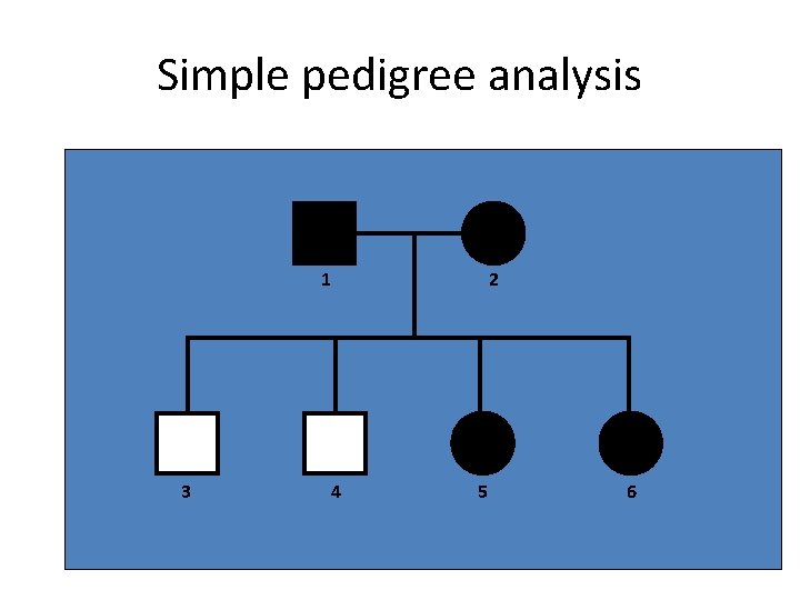Simple pedigree analysis 11 33 44 22 55 66 