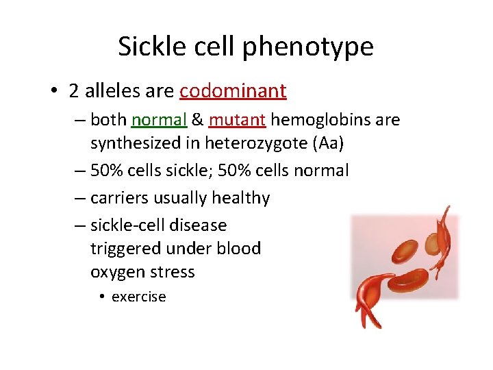 Sickle cell phenotype • 2 alleles are codominant – both normal & mutant hemoglobins