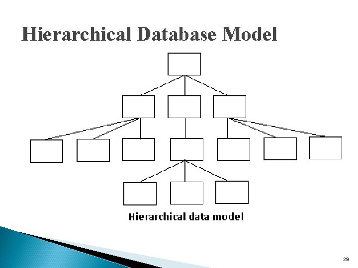 Hierarchical Database Model 29 