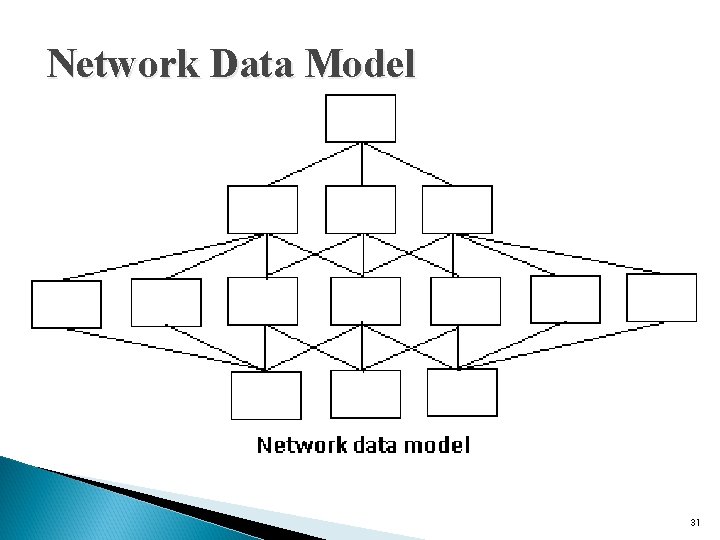 Network Data Model 31 