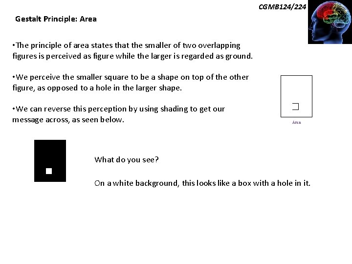 CGMB 124/224 Gestalt Principle: Area • The principle of area states that the smaller