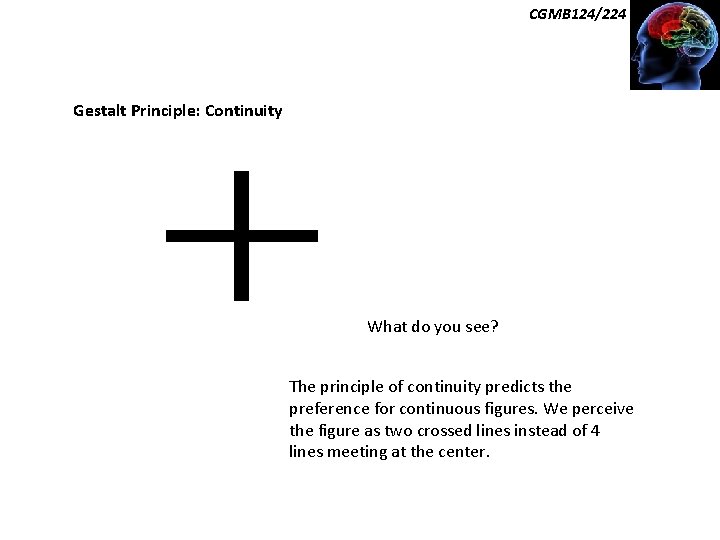 CGMB 124/224 Gestalt Principle: Continuity What do you see? The principle of continuity predicts