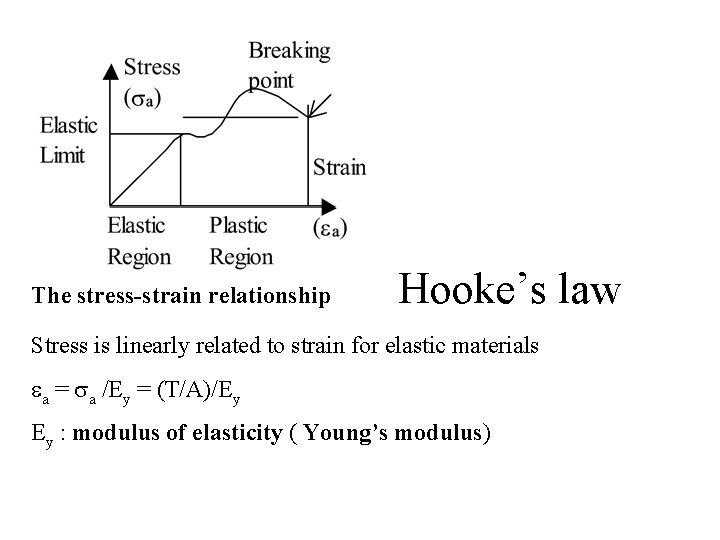 The stress-strain relationship Hooke’s law Stress is linearly related to strain for elastic materials