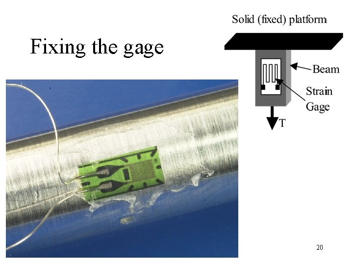 Fixing the gage 20 
