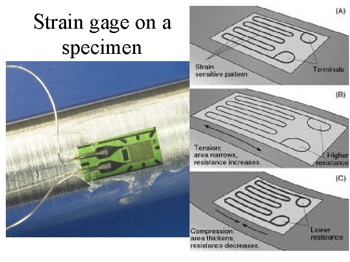 Strain gage on a specimen 22 