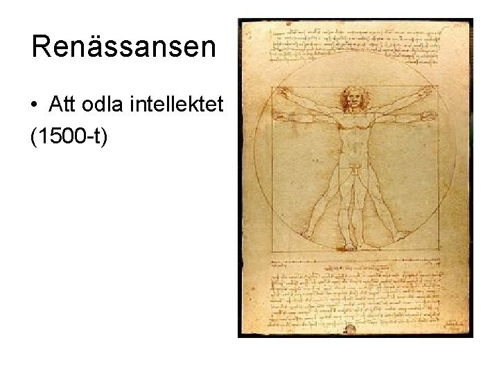 Renässansen • Att odla intellektet (1500 -t) 