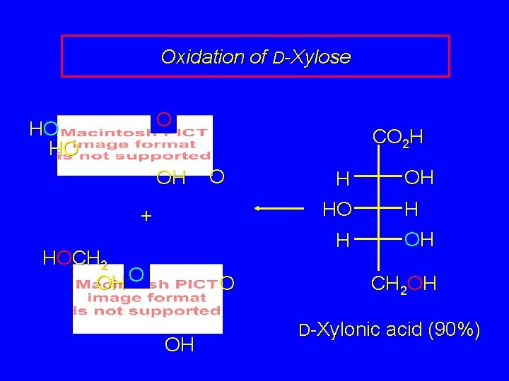 Oxidation of D-Xylose O HO HO OH CO 2 H O + H OH