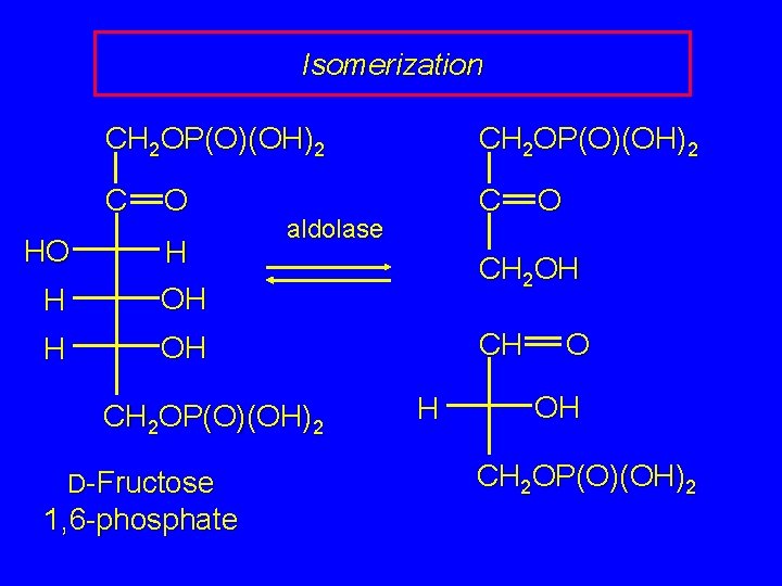Isomerization HO CH 2 OP(O)(OH)2 C C O H H OH aldolase CH 2