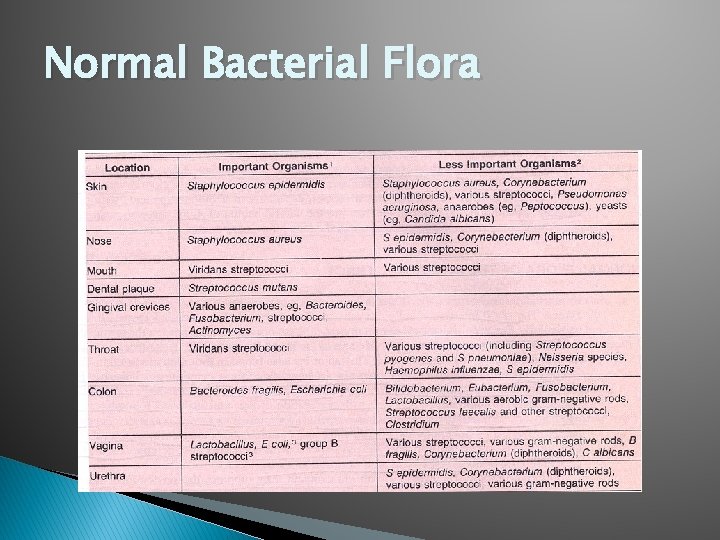 Normal Bacterial Flora 