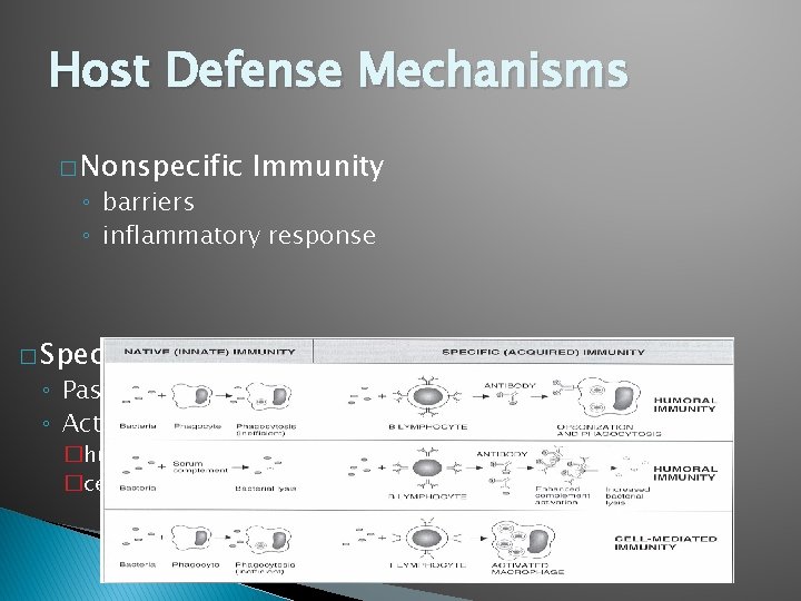Host Defense Mechanisms � Nonspecific Immunity ◦ barriers ◦ inflammatory response � Specific ◦
