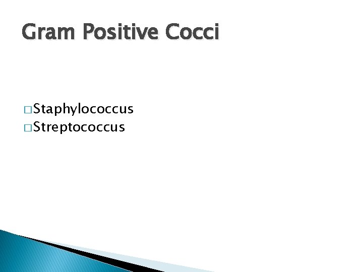 Gram Positive Cocci � Staphylococcus � Streptococcus 