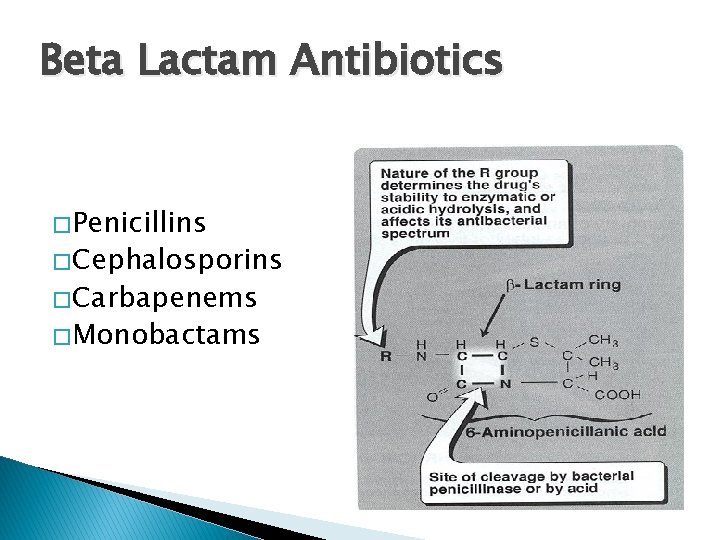 Beta Lactam Antibiotics � Penicillins � Cephalosporins � Carbapenems � Monobactams 
