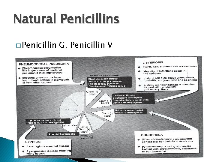 Natural Penicillins � Penicillin G, Penicillin V 