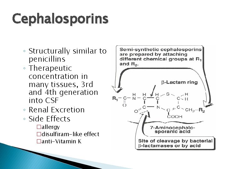 Cephalosporins ◦ Structurally similar to penicillins ◦ Therapeutic concentration in many tissues, 3 rd