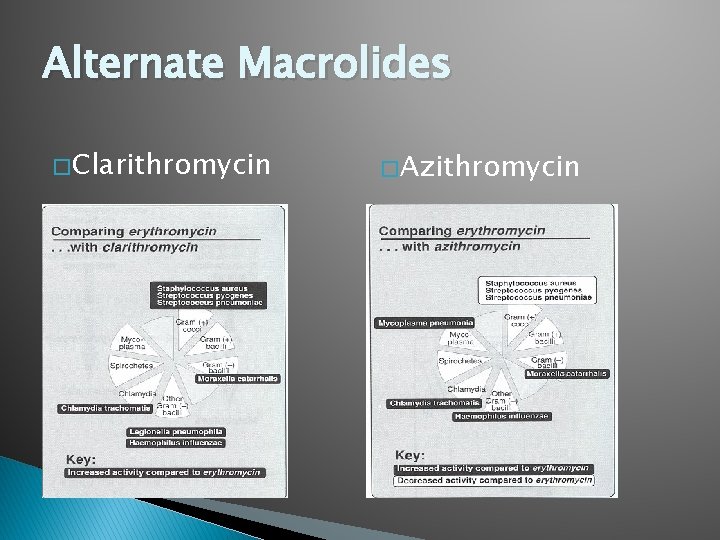 Alternate Macrolides � Clarithromycin � Azithromycin 