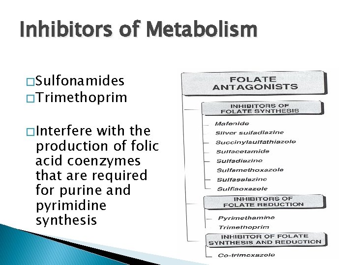 Inhibitors of Metabolism � Sulfonamides � Trimethoprim � Interfere with the production of folic