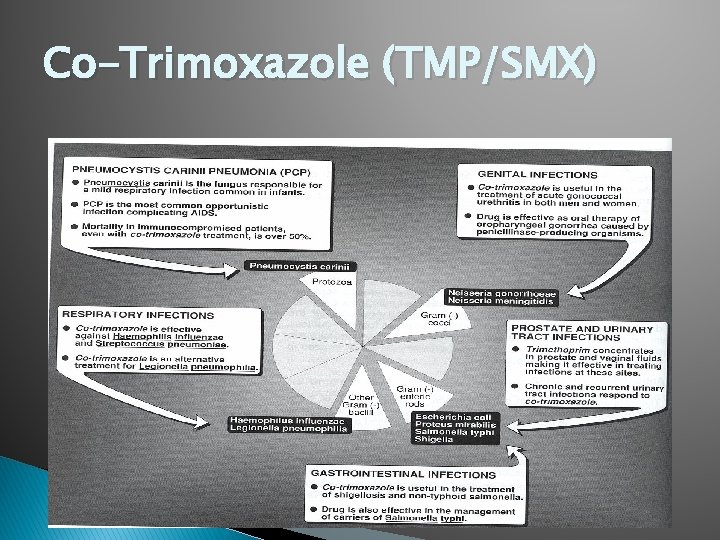 Co-Trimoxazole (TMP/SMX) 