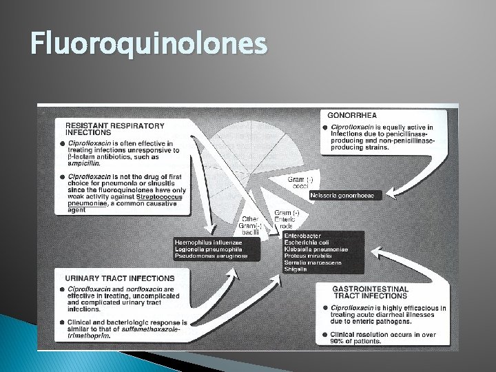 Fluoroquinolones 