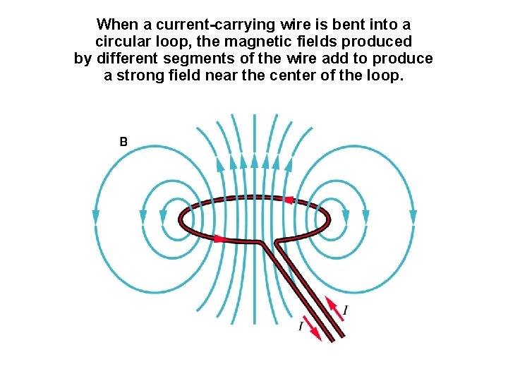 When a current-carrying wire is bent into a circular loop, the magnetic fields produced