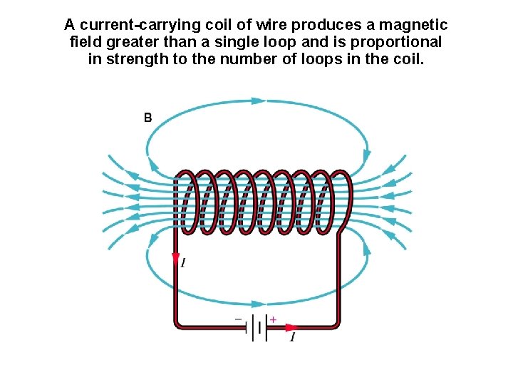 A current-carrying coil of wire produces a magnetic field greater than a single loop